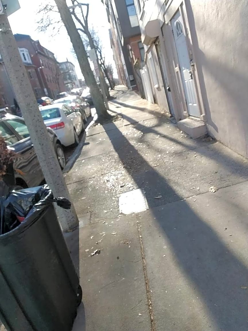 Image submitted with report