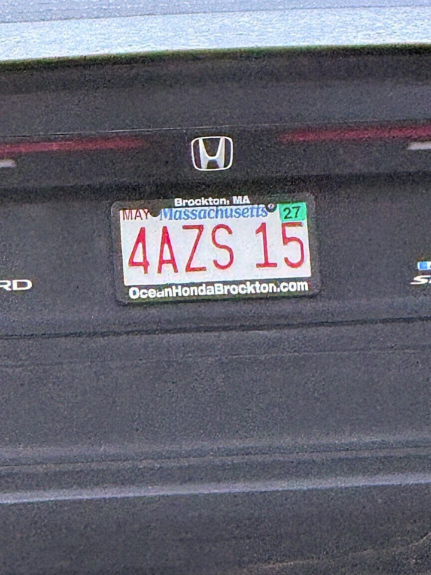 Image submitted with report