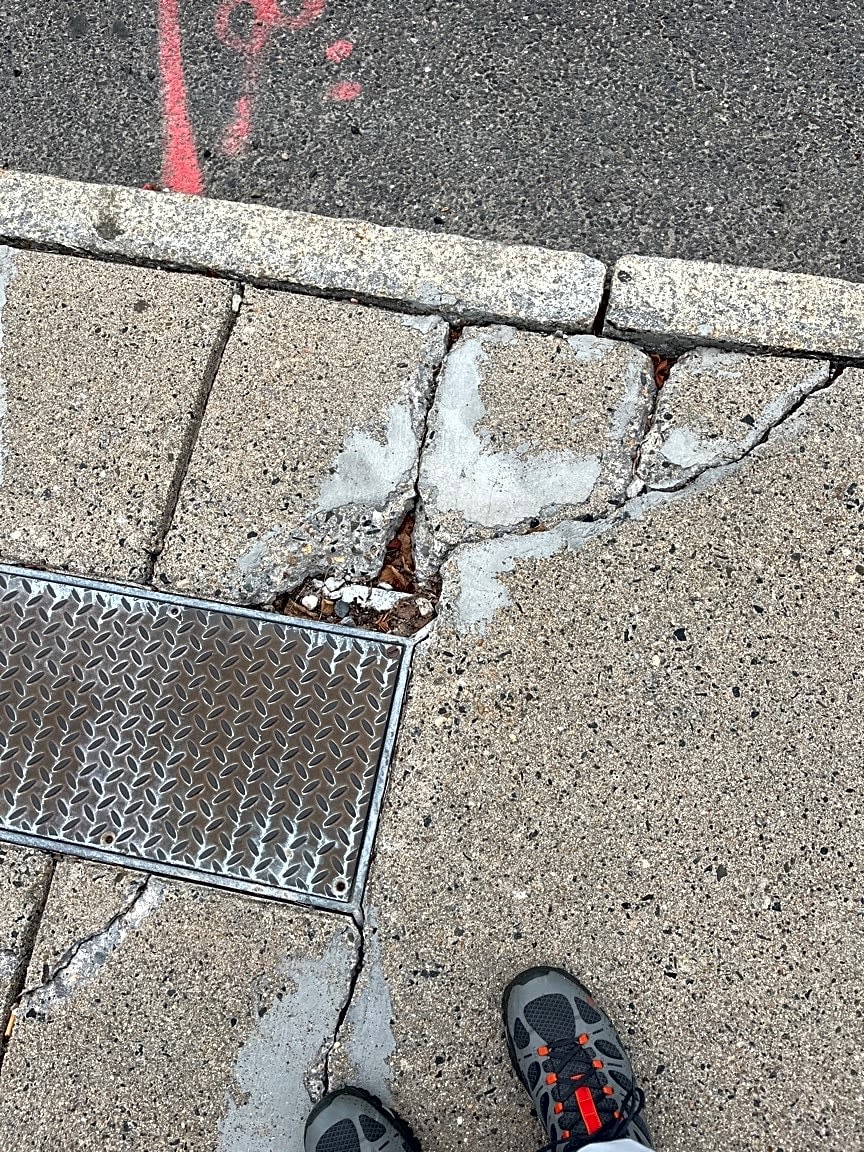 Image submitted with report