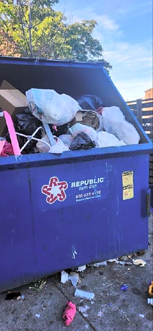 Image submitted with report