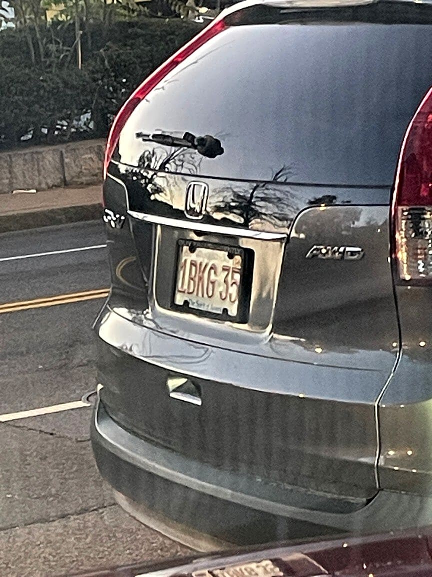 Image submitted with report