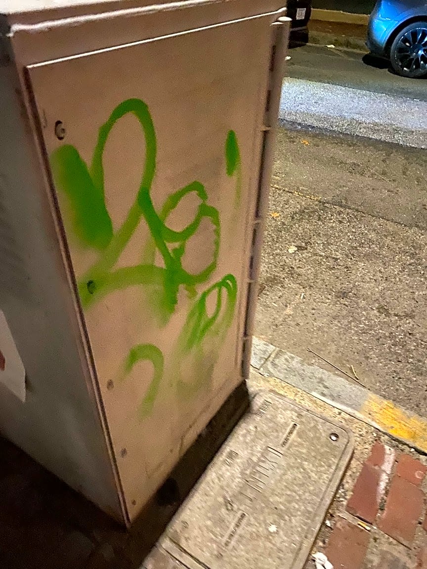 Image submitted with report
