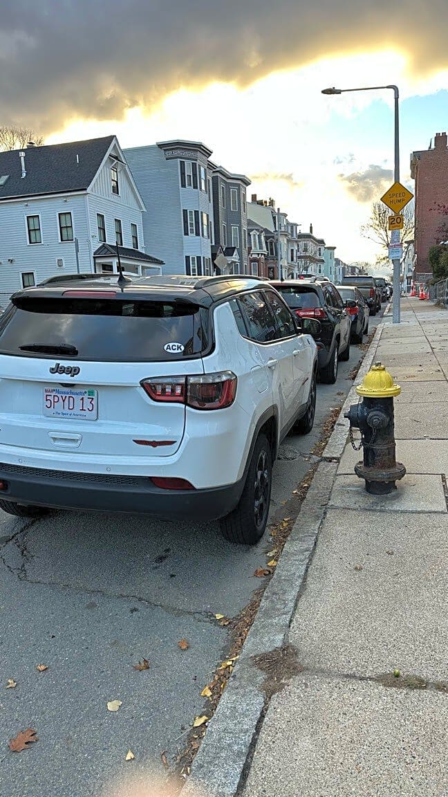 Image submitted with report