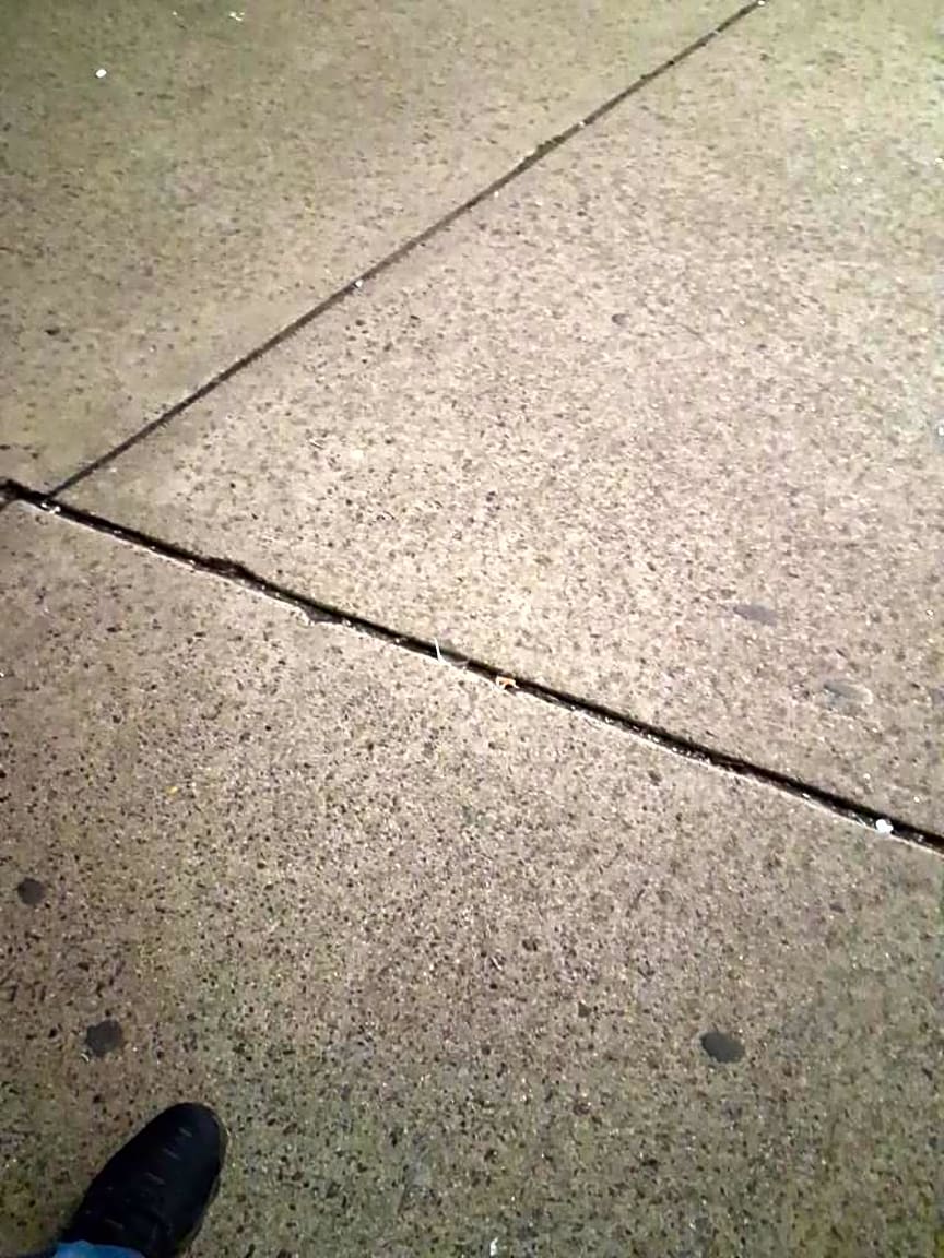 Image submitted with report