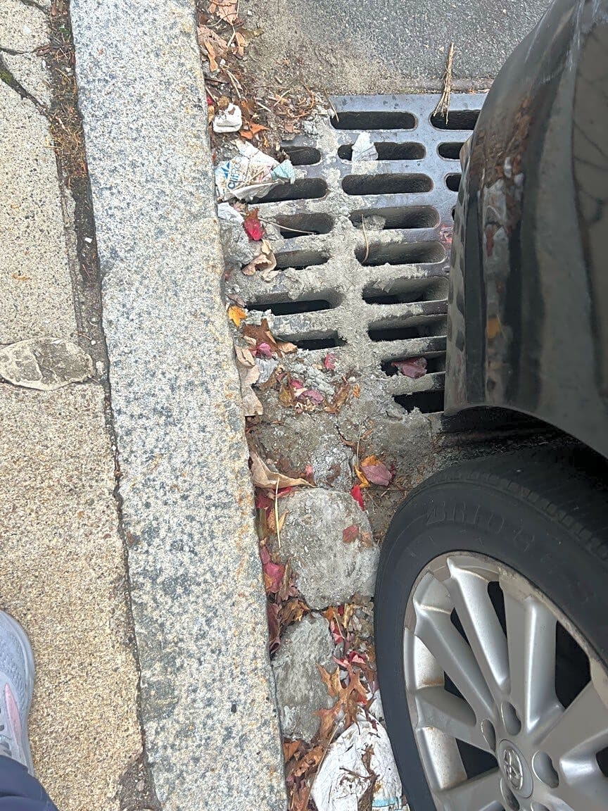 Image submitted with report