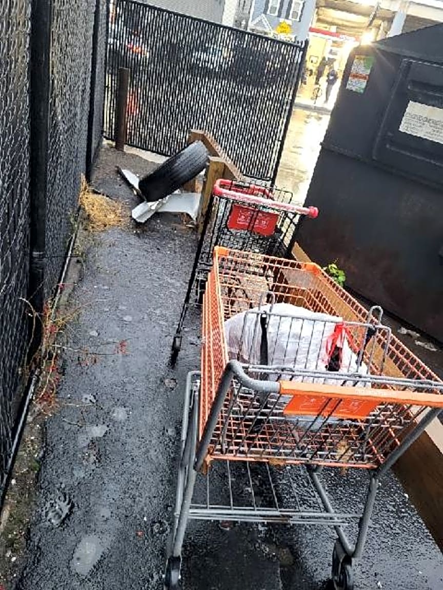 Image submitted with report