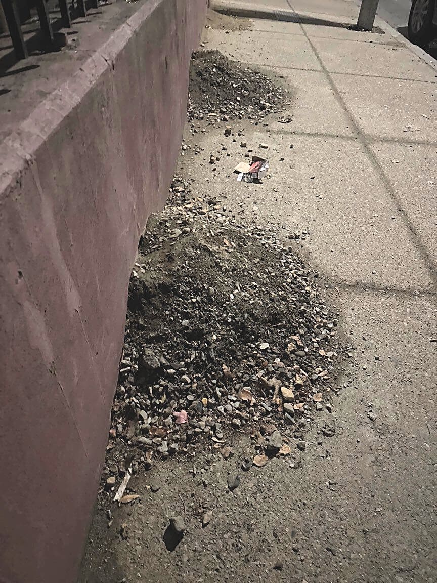 Image submitted with report