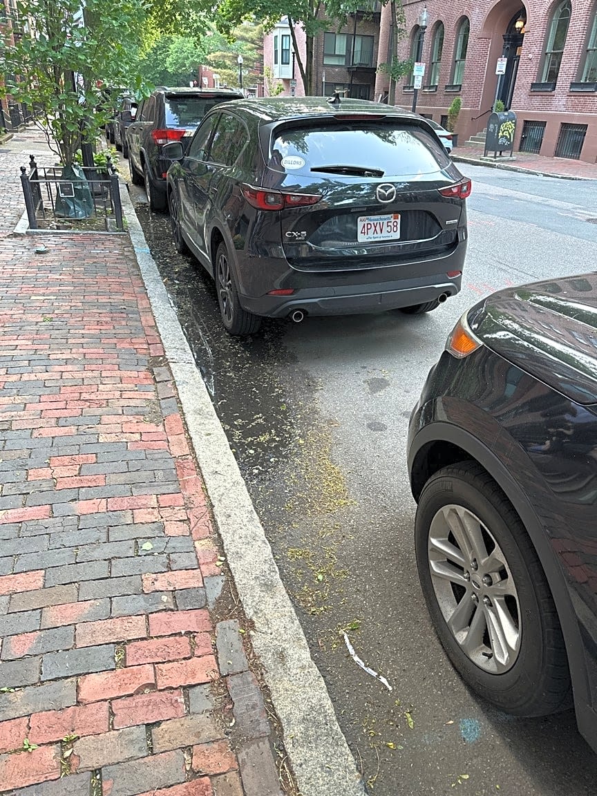 Image submitted with report