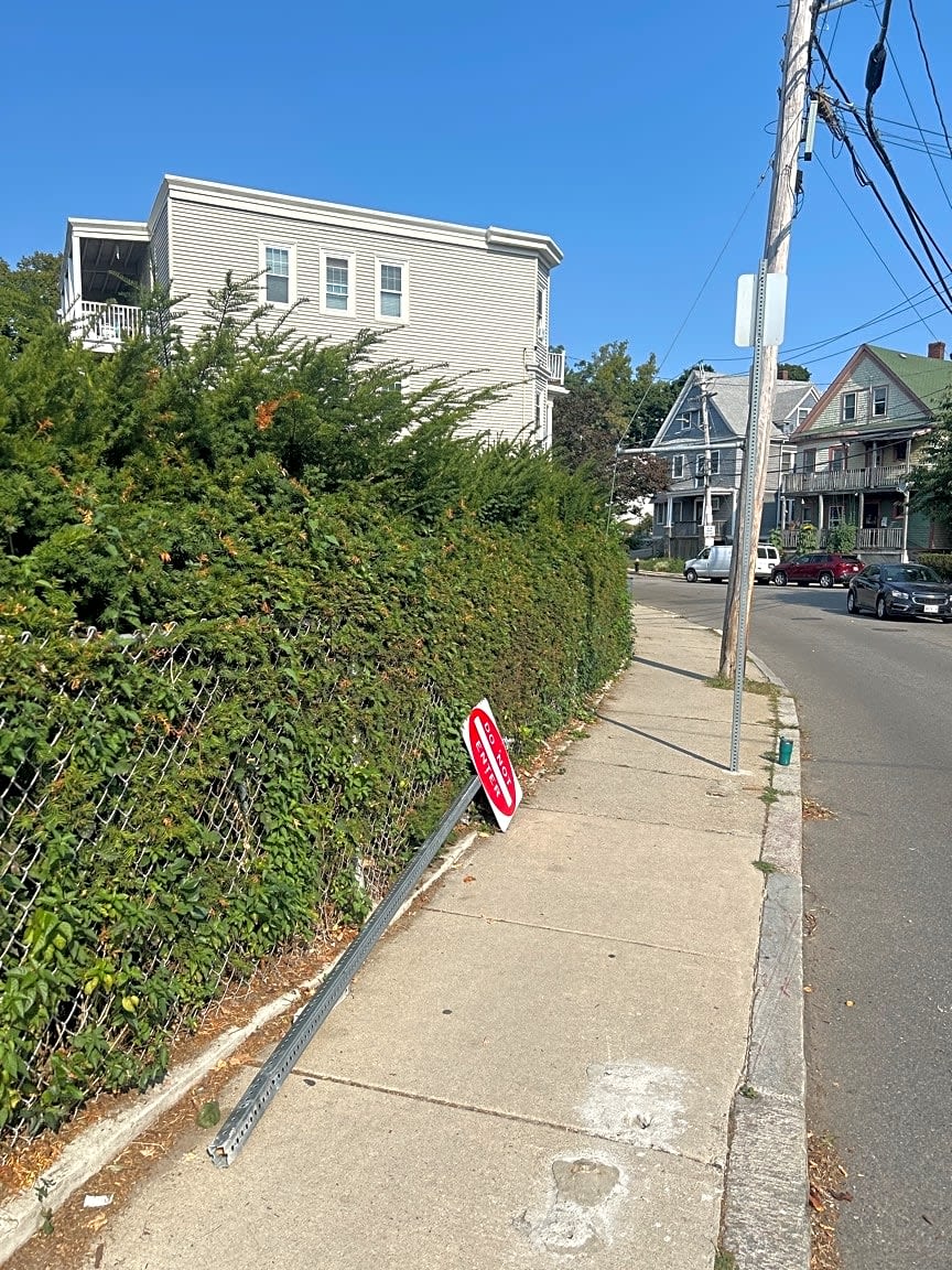 Image submitted with report