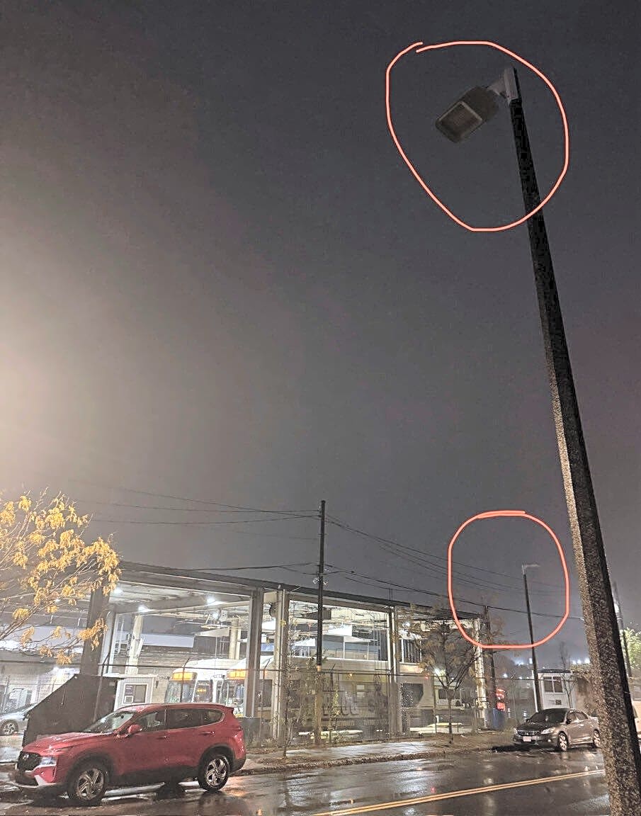 Image submitted with report