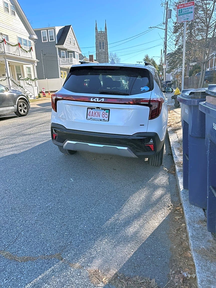 Image submitted with report