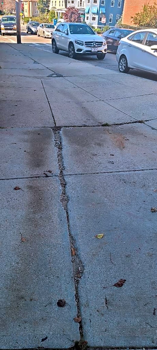 Image submitted with report