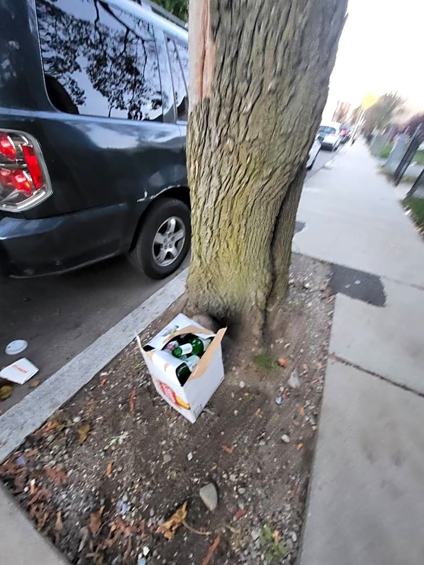 Image submitted with report