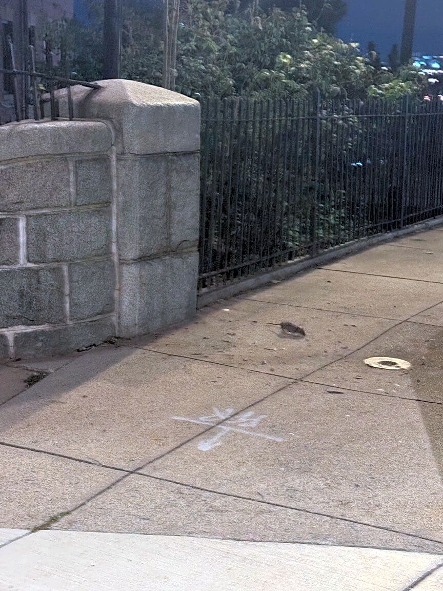 Image submitted with report