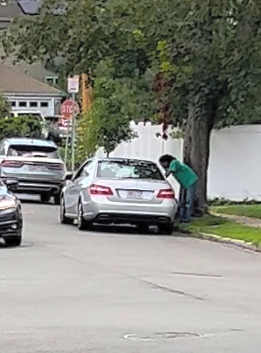 Image submitted with report