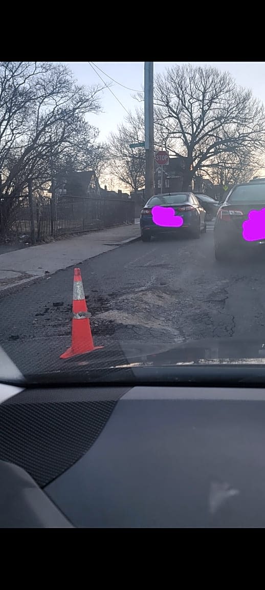 Image submitted with report