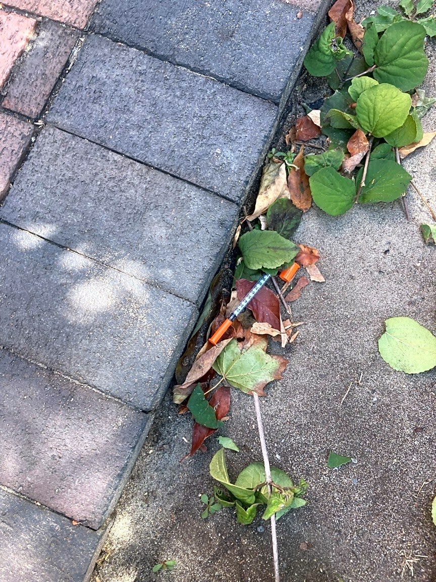Image submitted with report