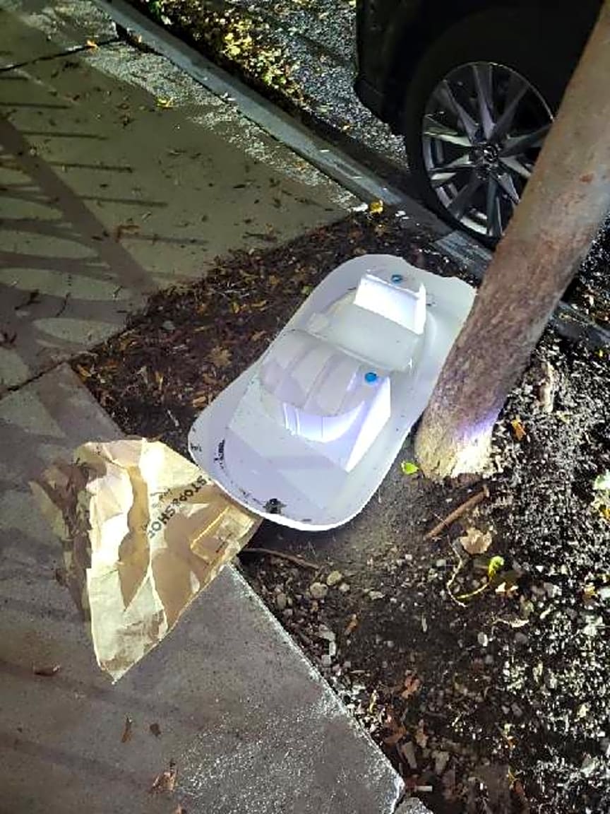 Image submitted with report