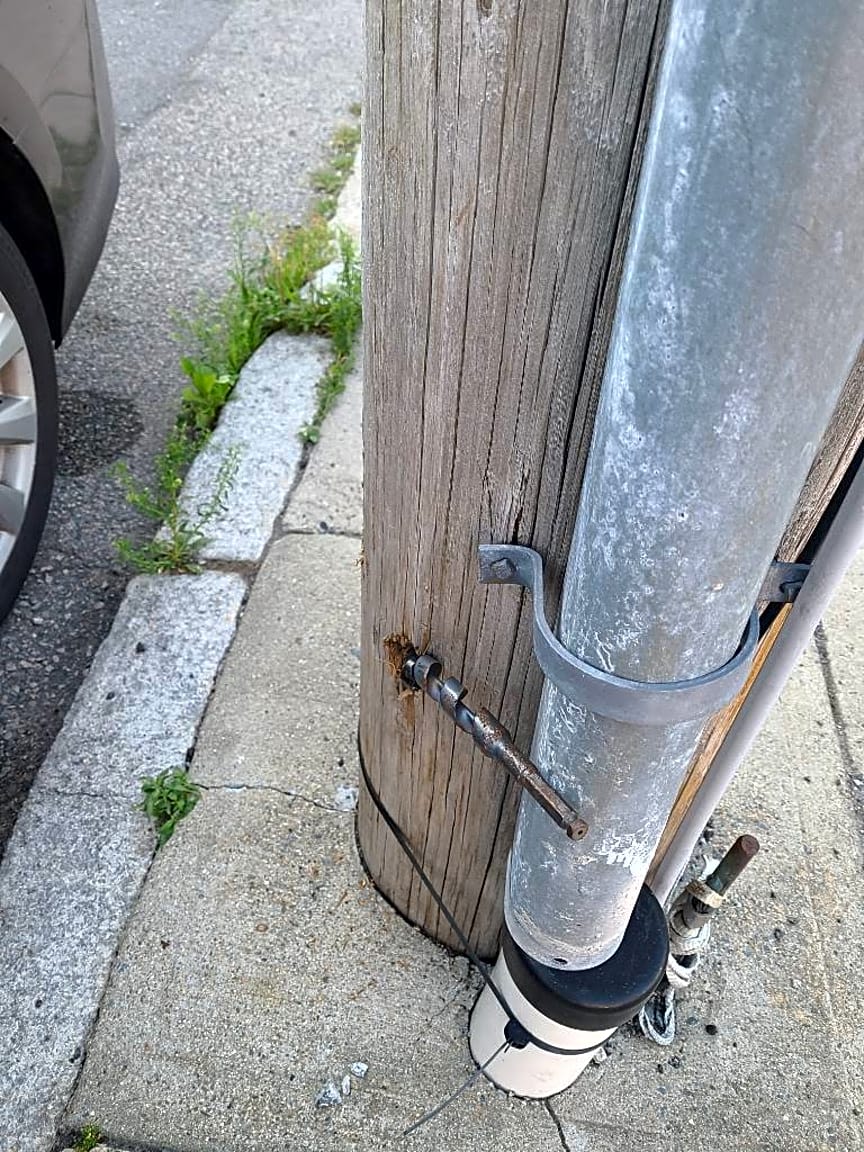 Image submitted with report