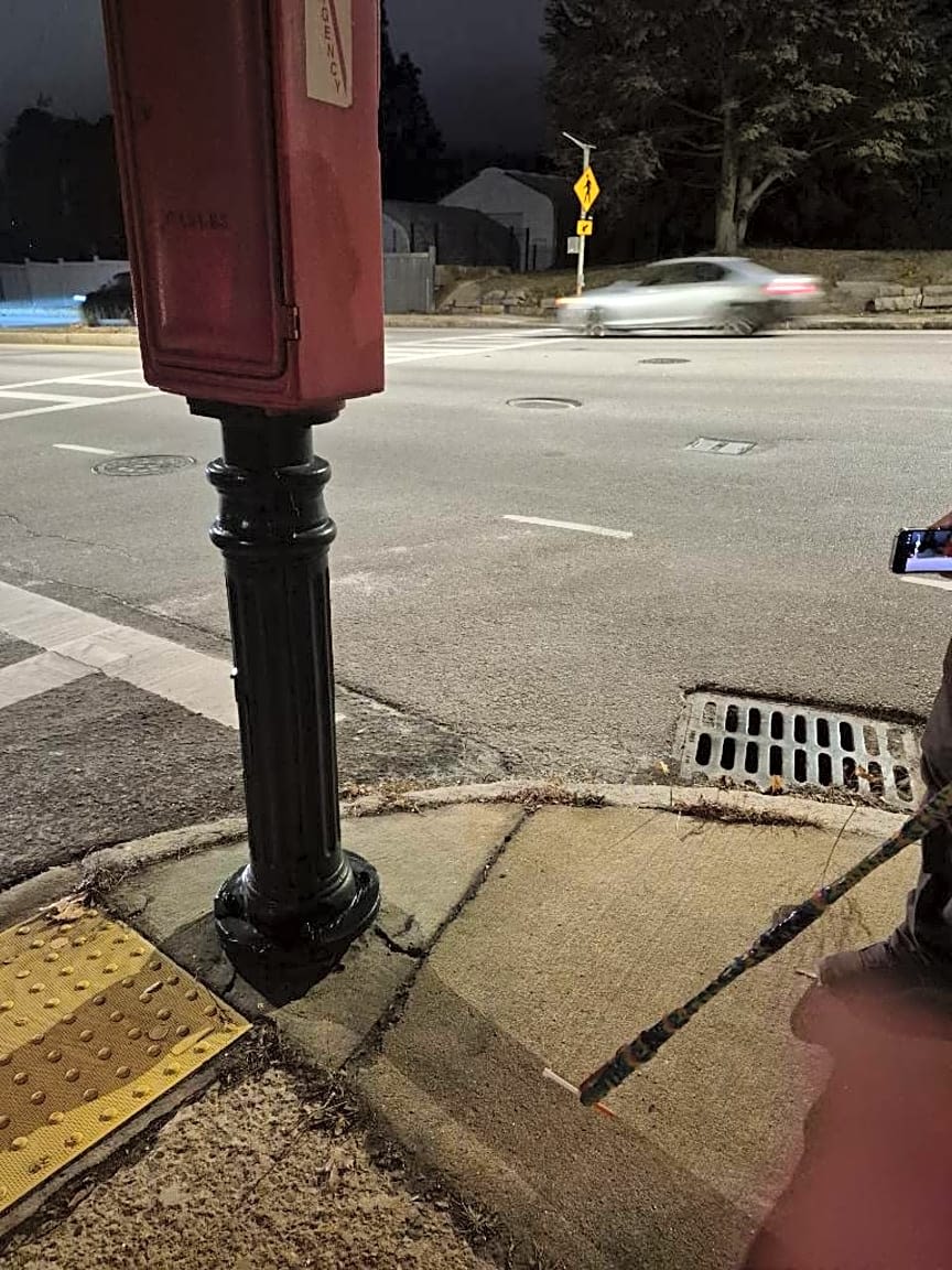 Image submitted with report