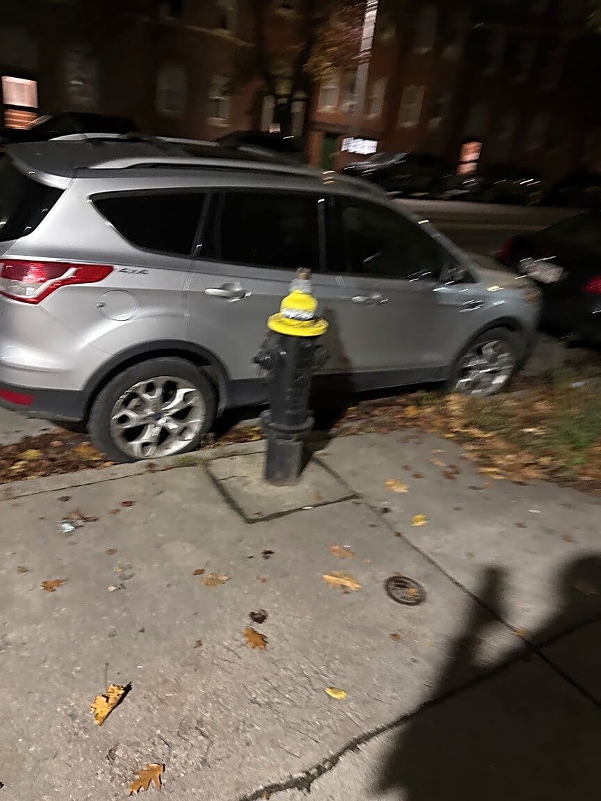 Image submitted with report