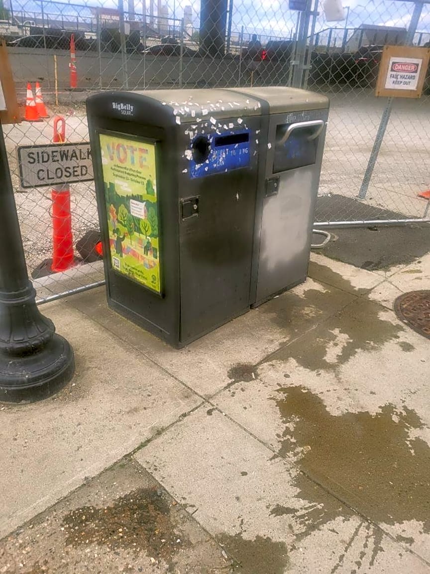Image submitted with report