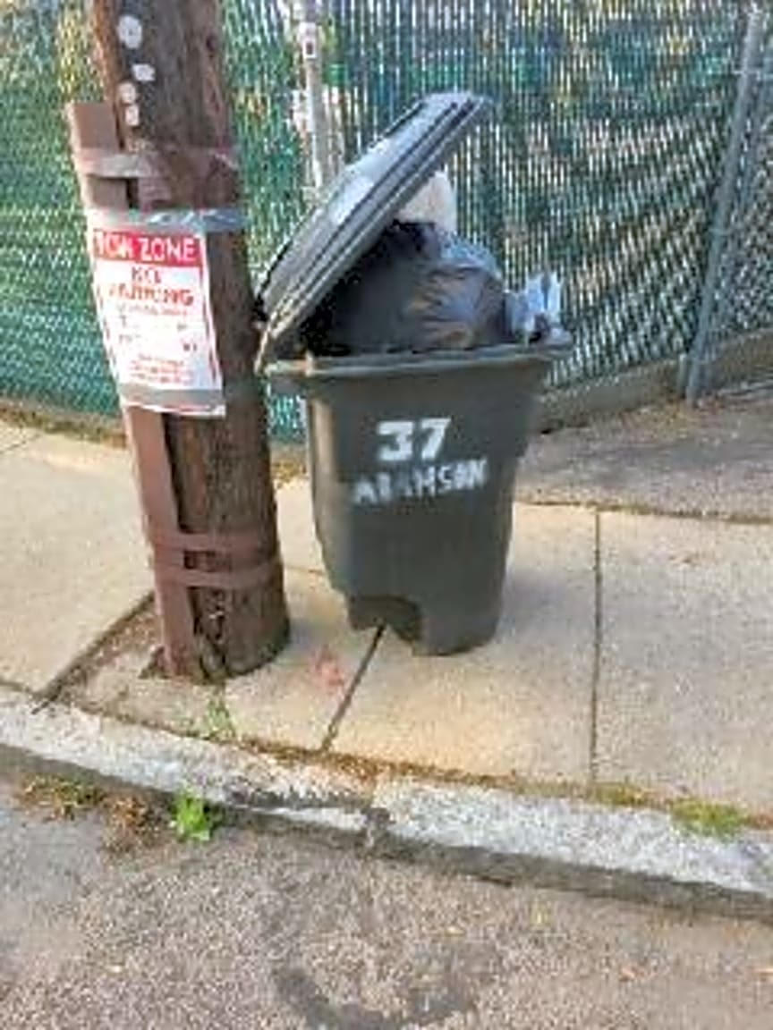 Image submitted with report