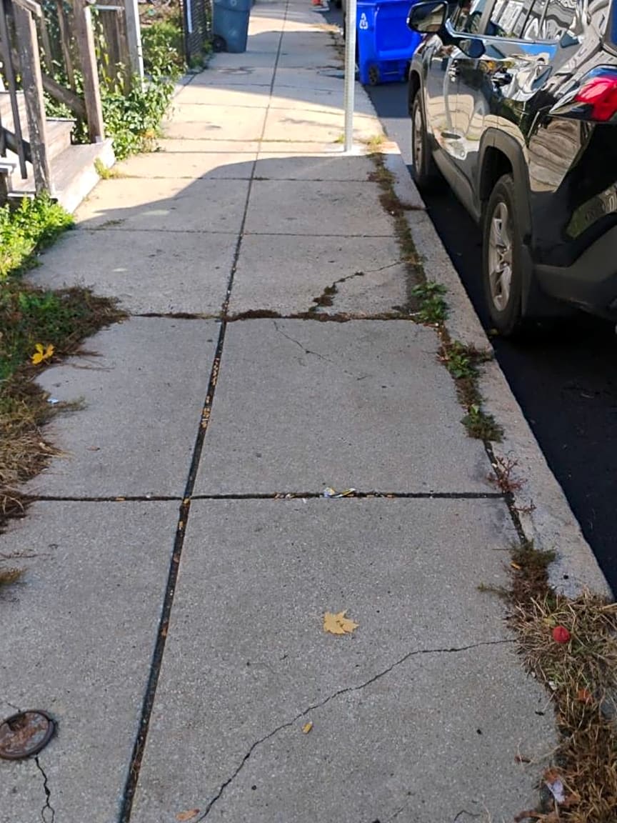 Image submitted with report