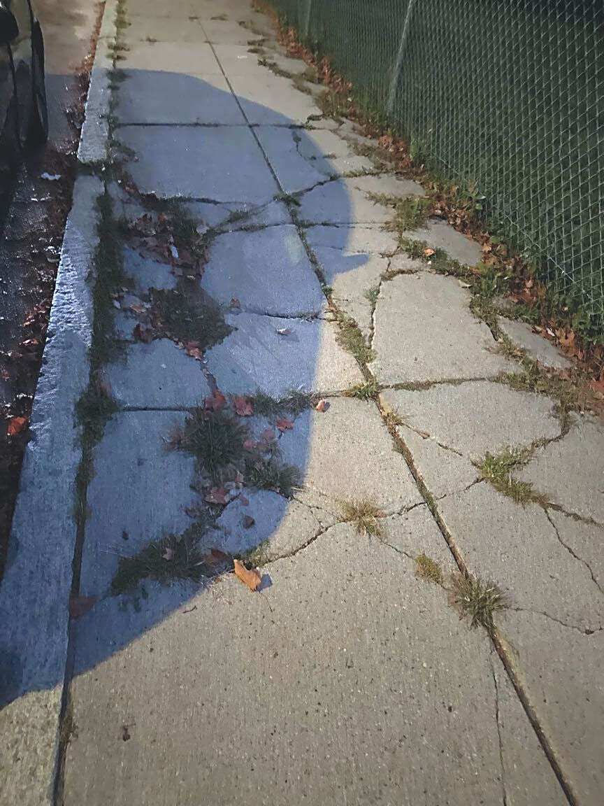 Image submitted with report