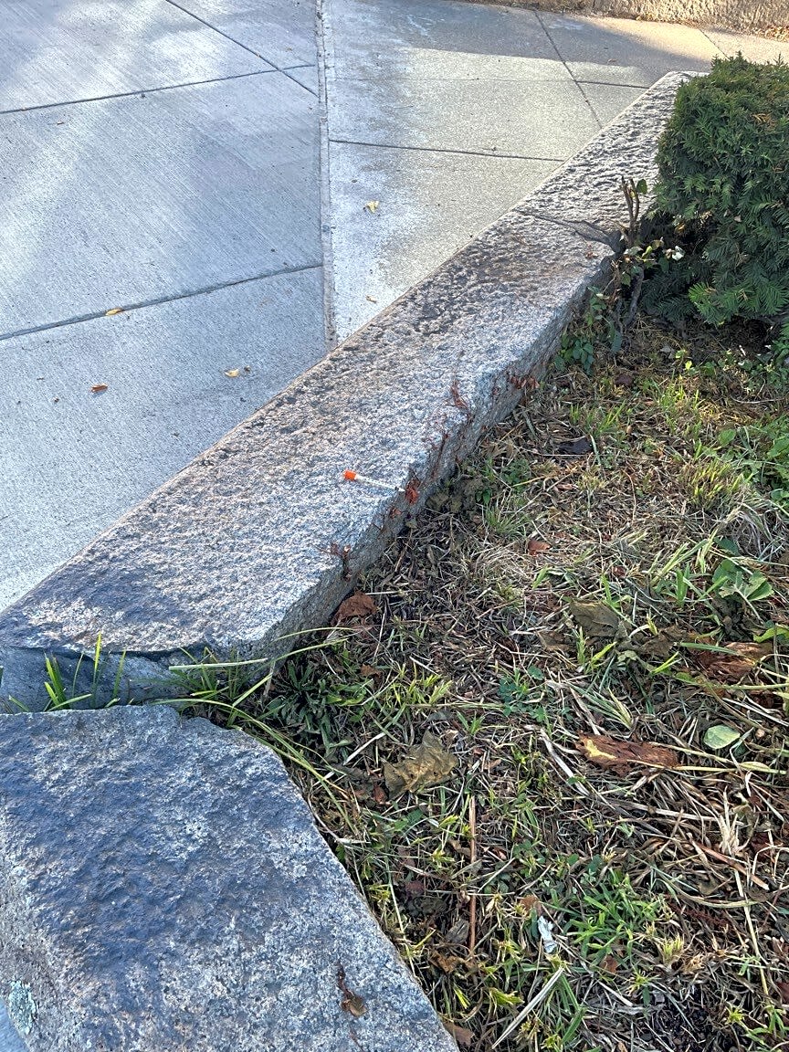 Image submitted with report