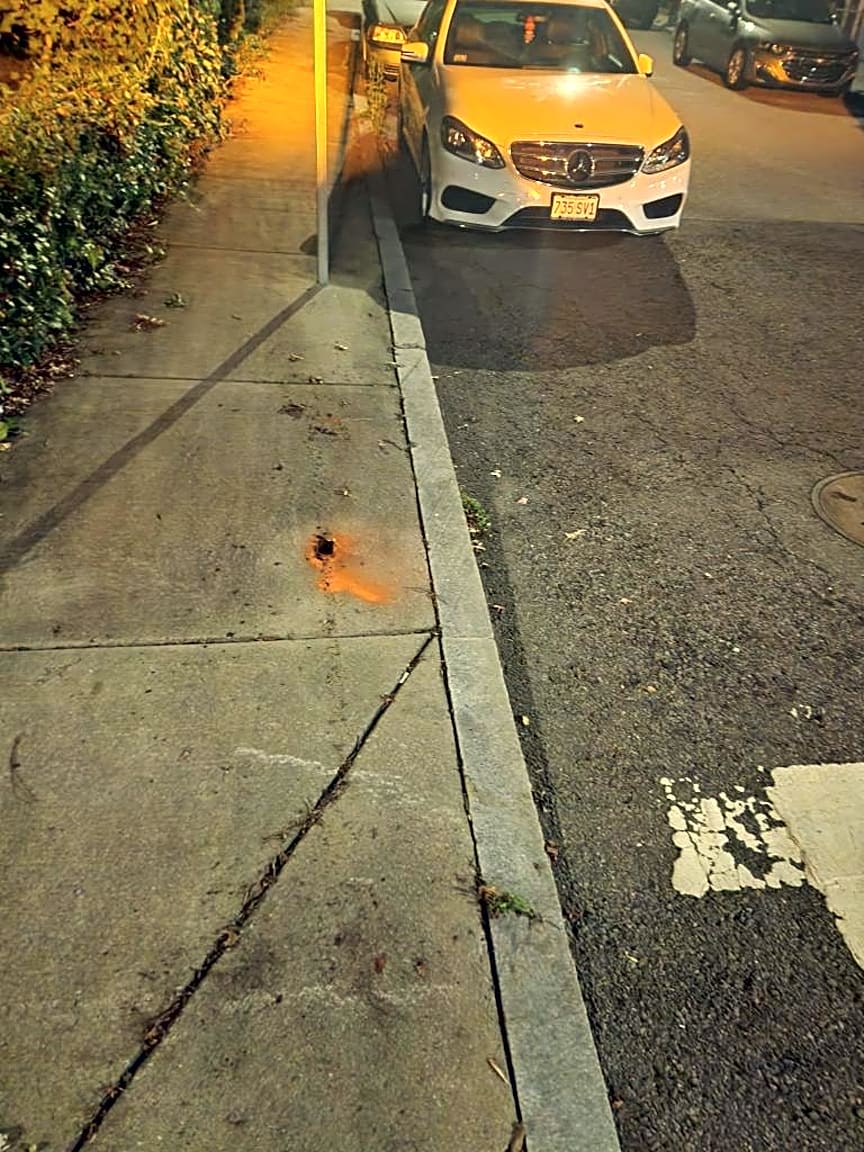 Image submitted with report