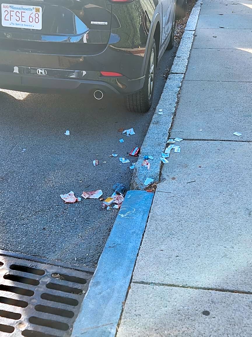 Image submitted with report