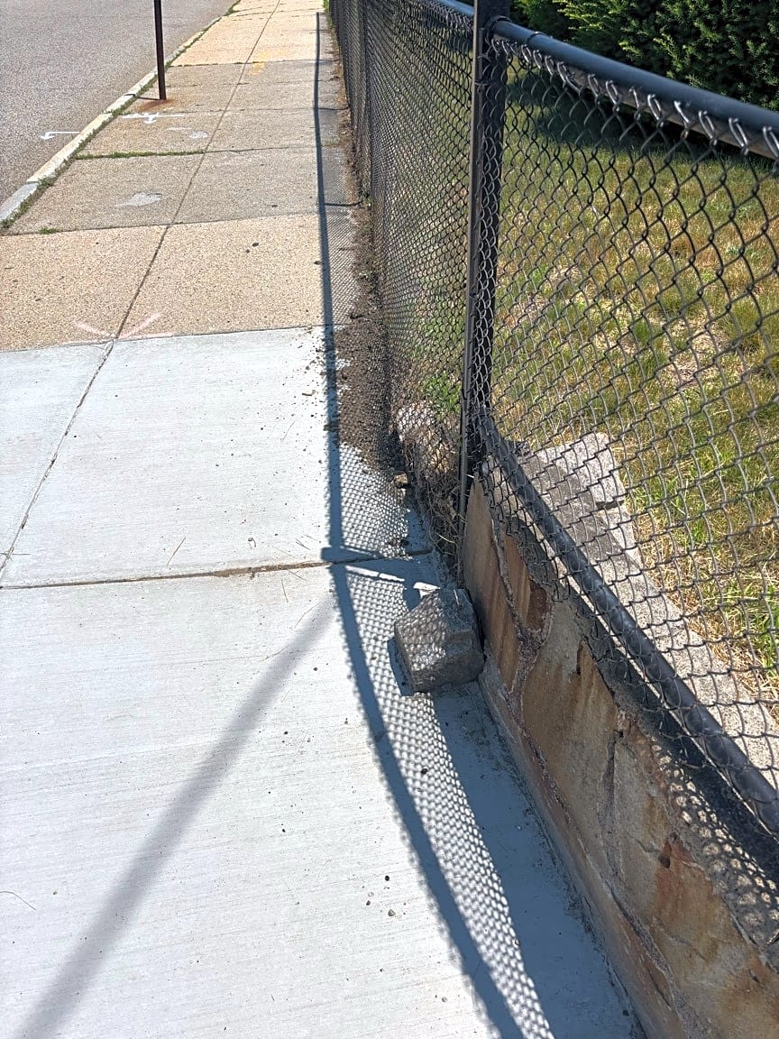 Image submitted with report