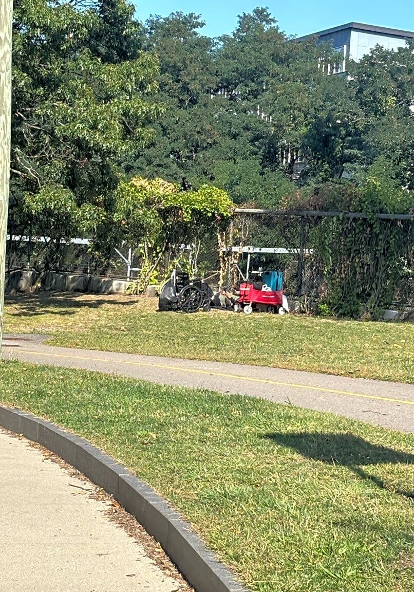 Image submitted with report