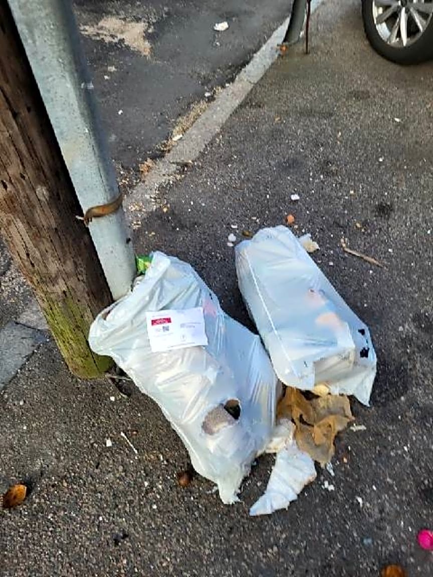 Image submitted with report