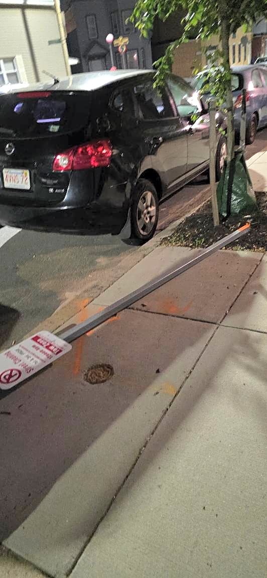 Image submitted with report