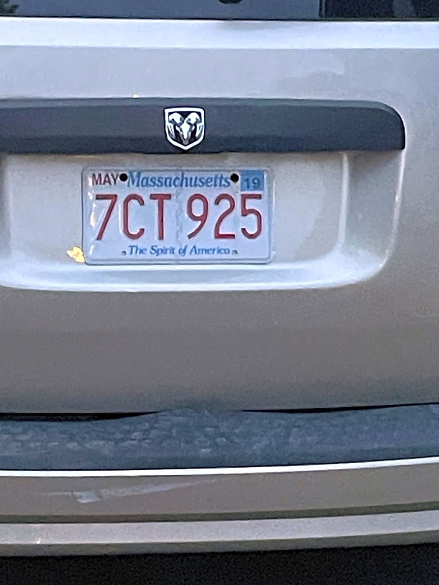 Image submitted with report