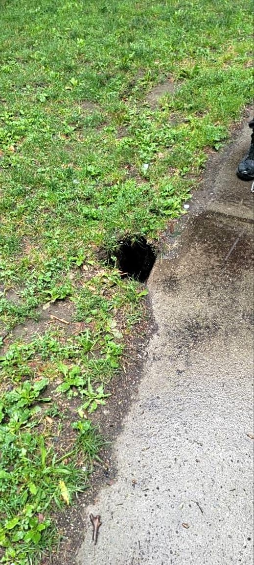 Image submitted with report