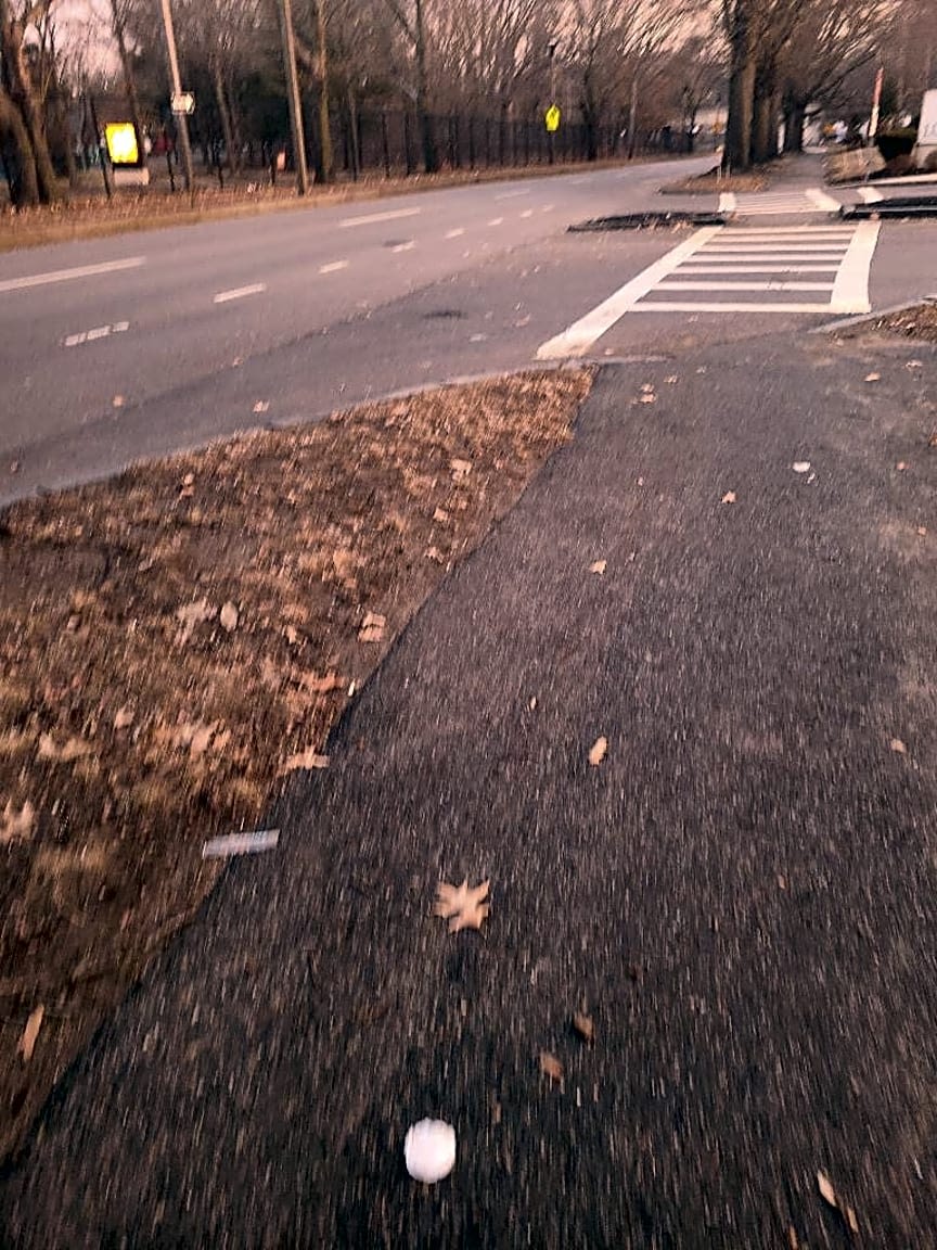Image submitted with report