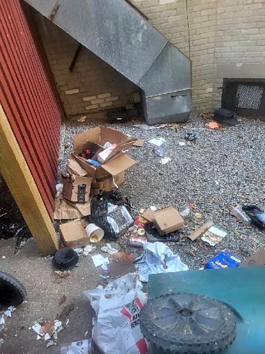 Image submitted with report