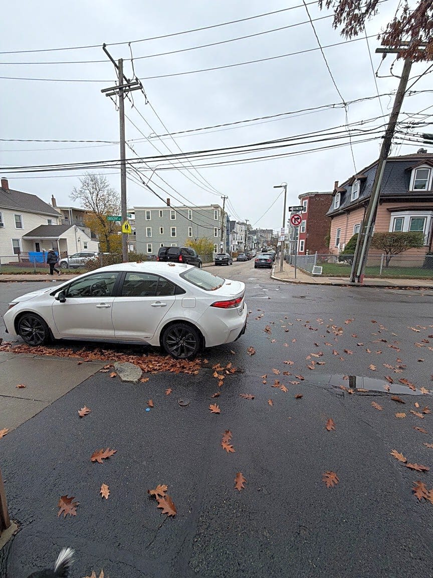 Image submitted with report