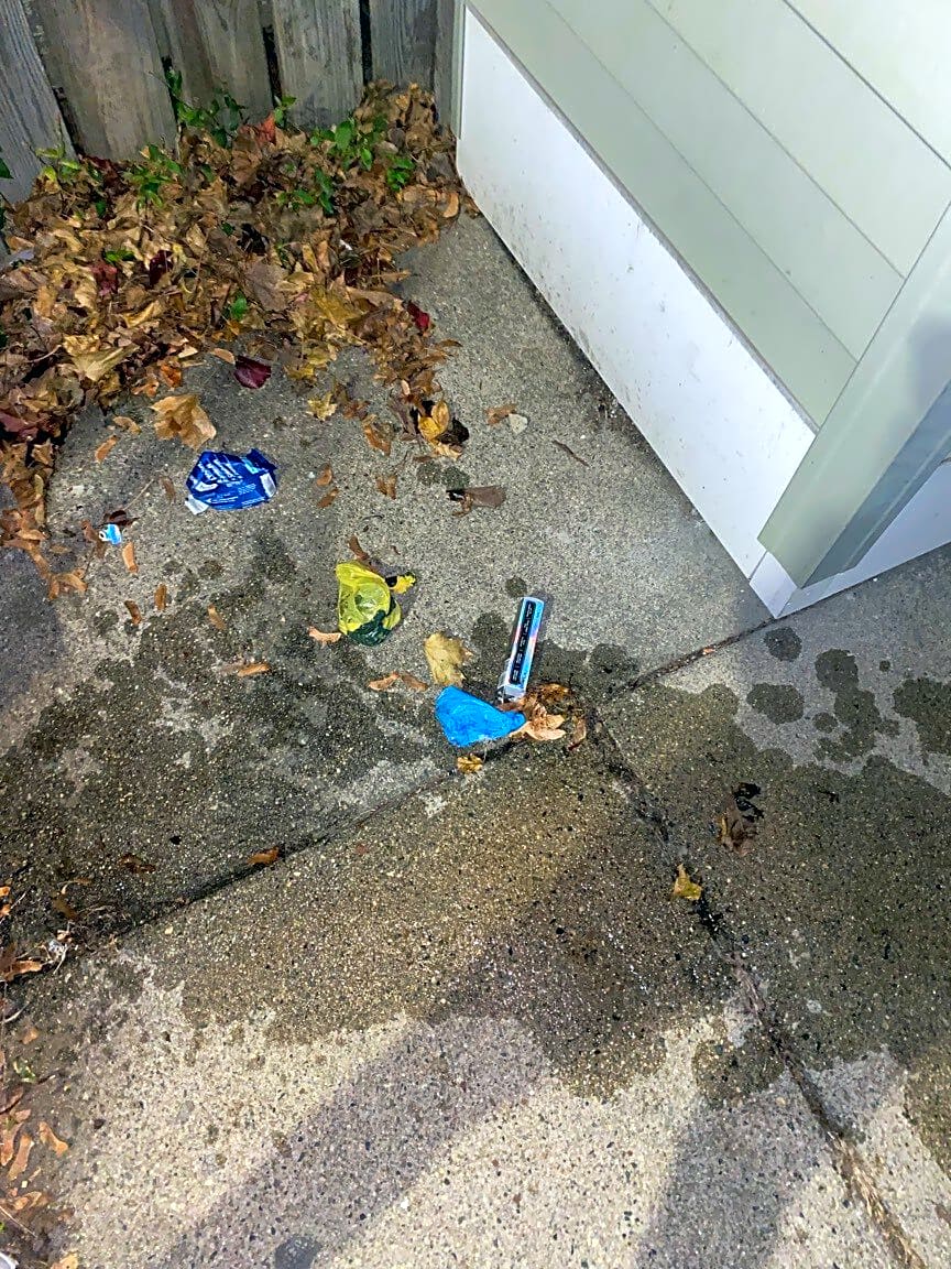 Image submitted with report