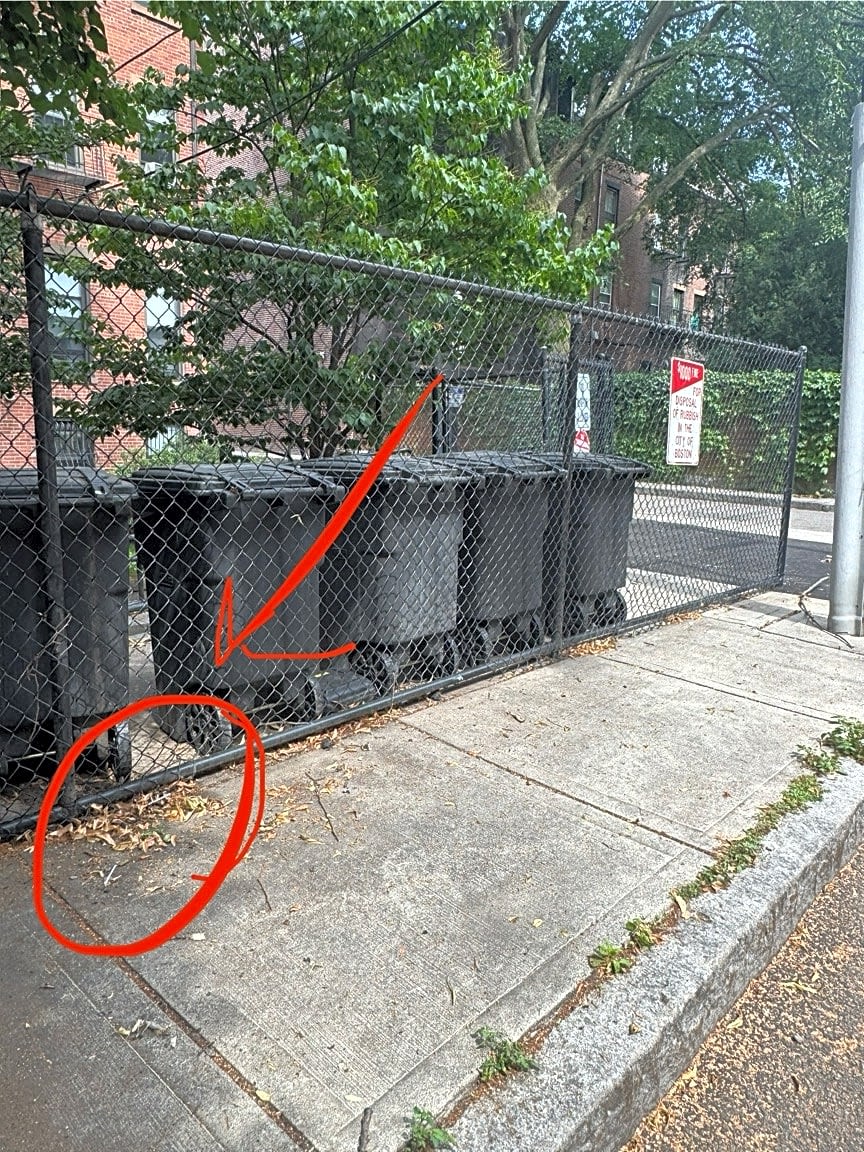 Image submitted with report