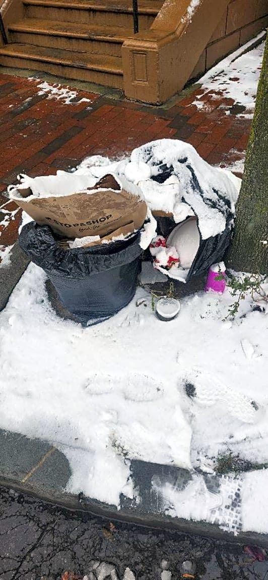 Image submitted with report