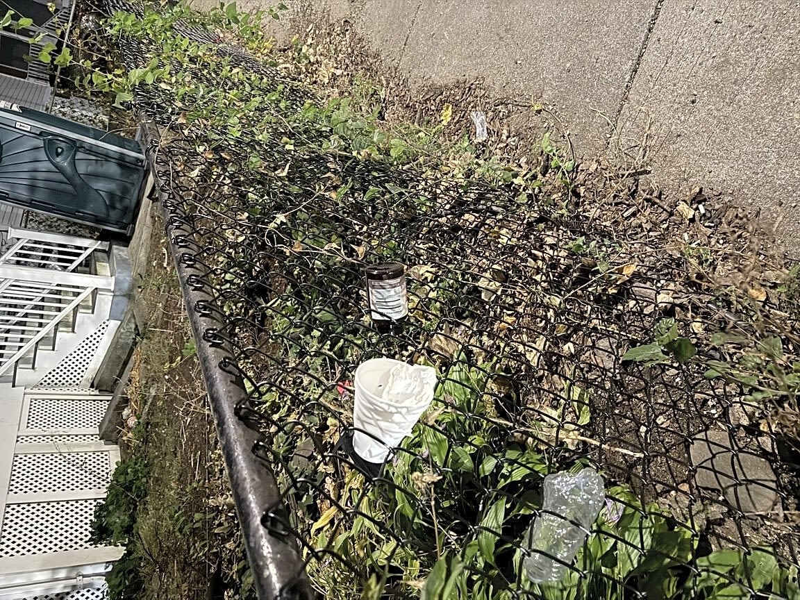 Image submitted with report