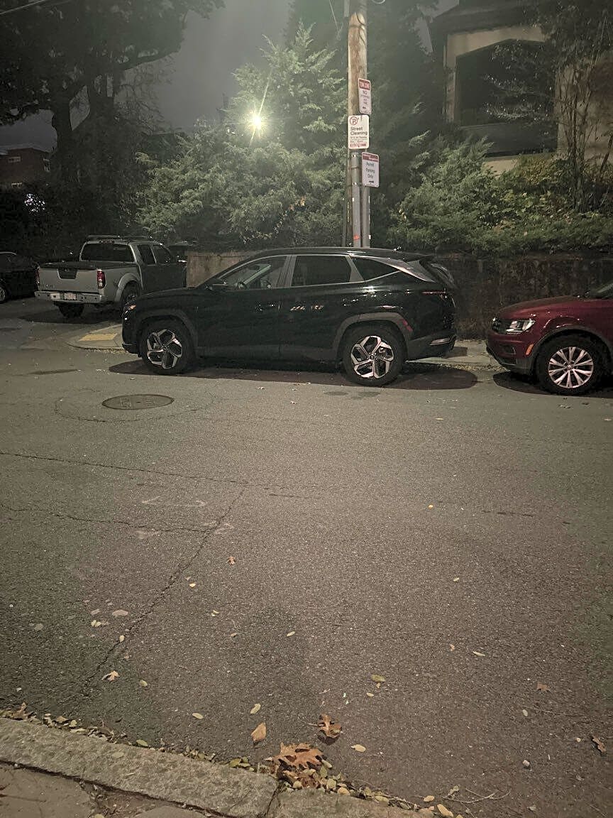 Image submitted with report