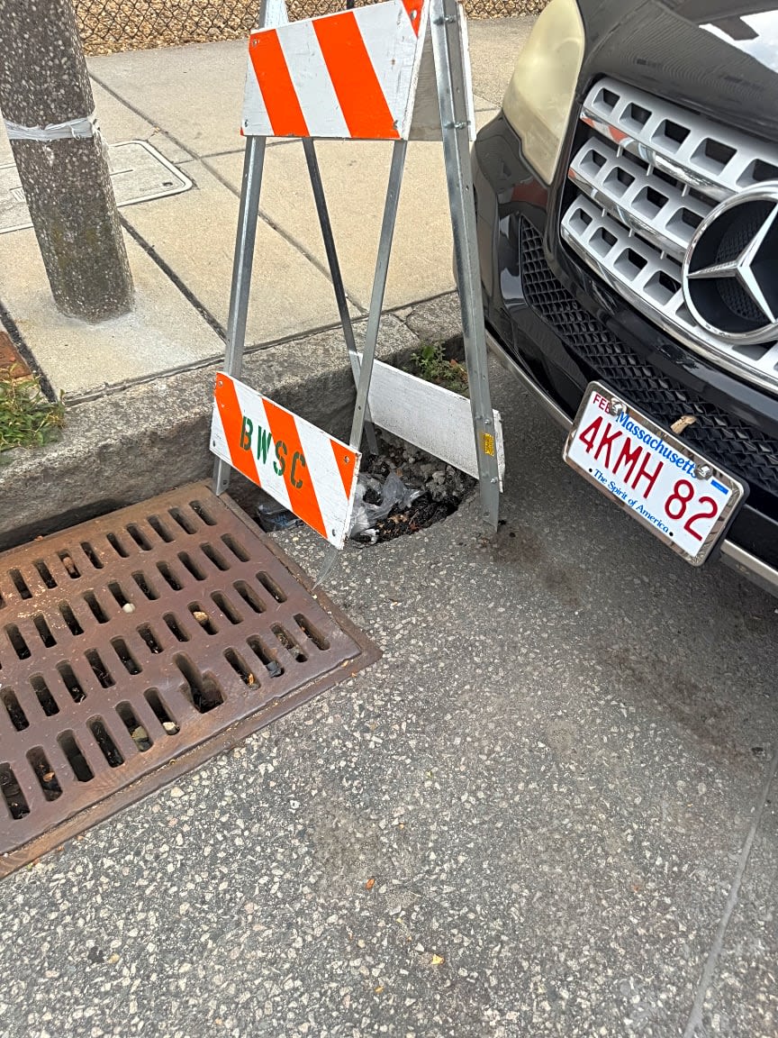 Image submitted with report