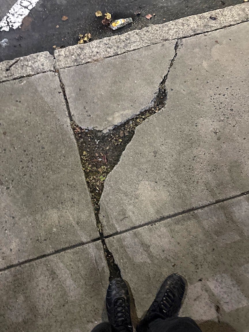 Image submitted with report