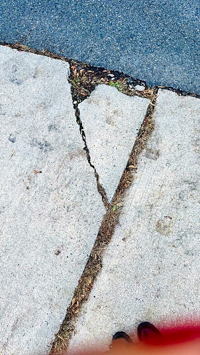 Image submitted with report