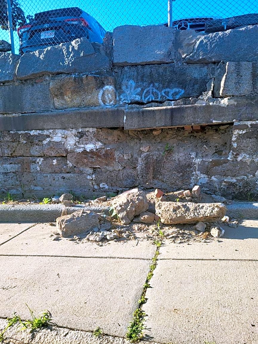 Image submitted with report